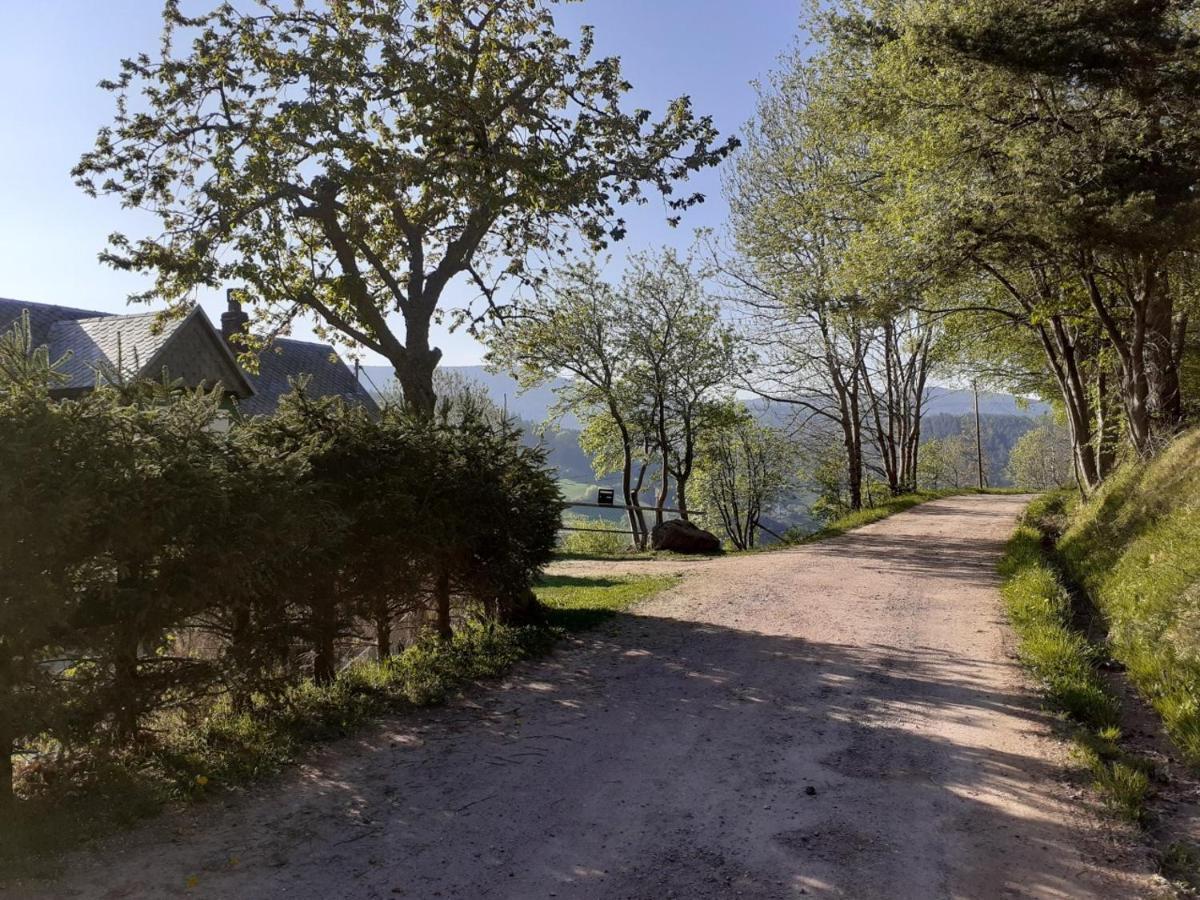Nordiques De La Welche Villa Orbey Eksteriør bilde