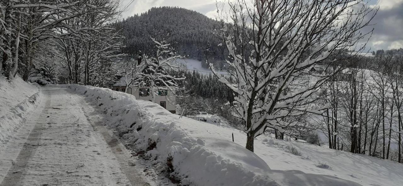 Nordiques De La Welche Villa Orbey Eksteriør bilde
